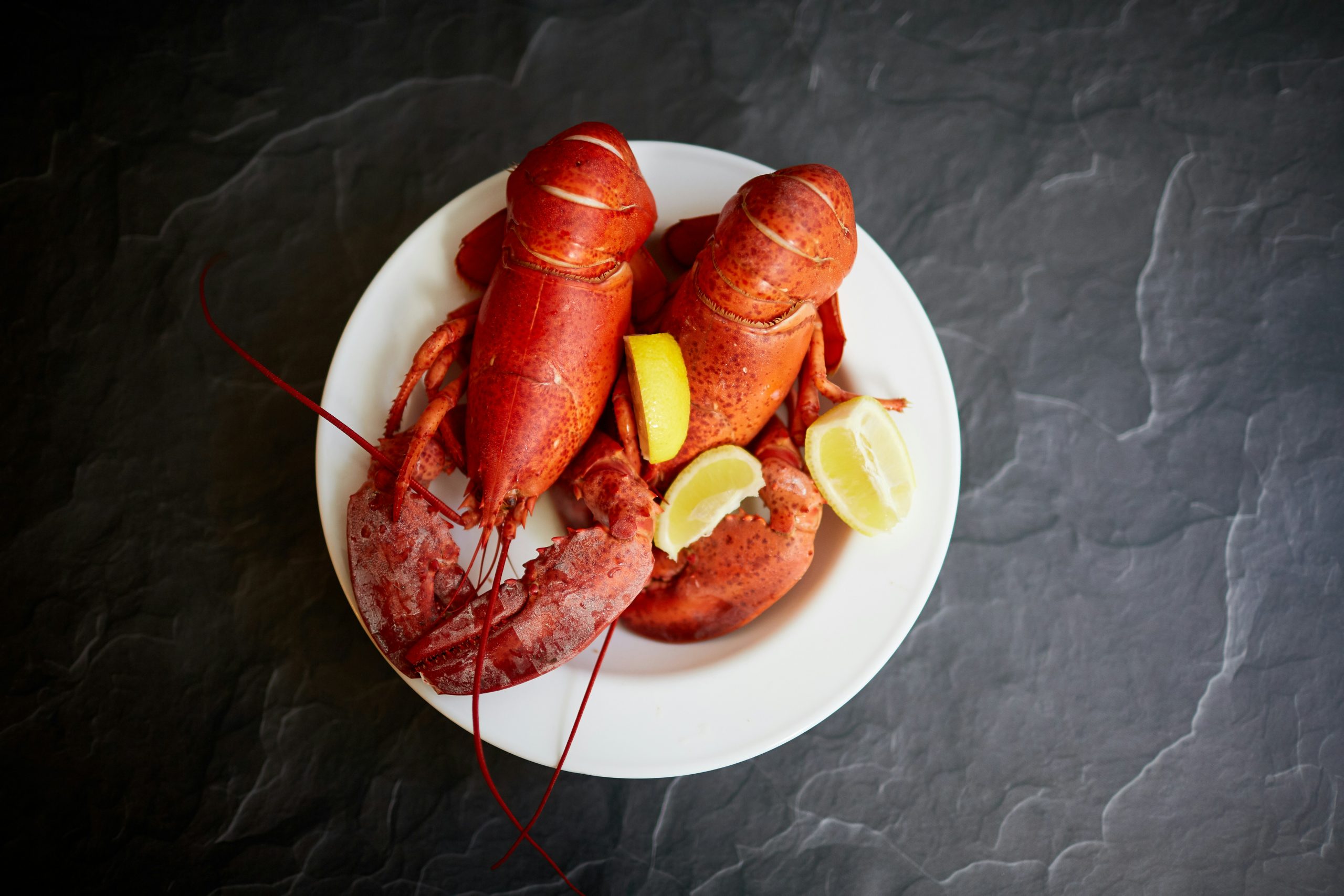 Menu Homard