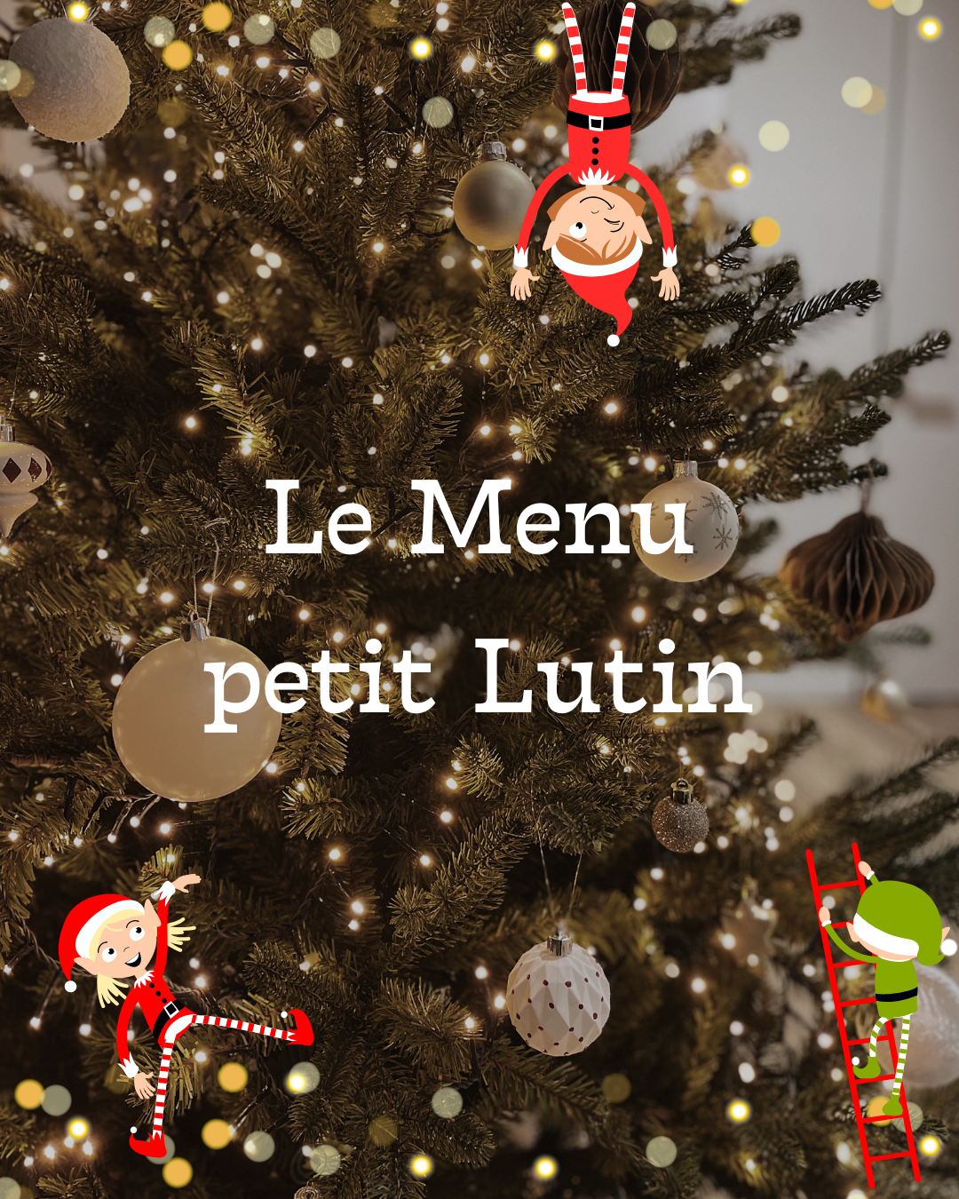 Menu Petit Lutin